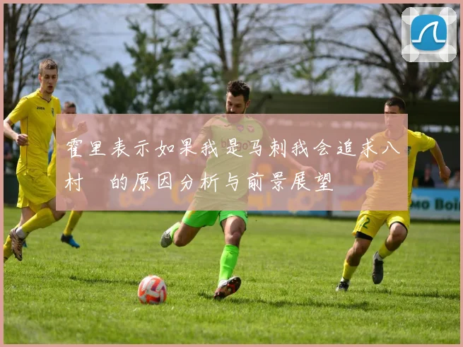 霍里表示如果我是马刺我会追求八村塁的原因分析与前景展望
