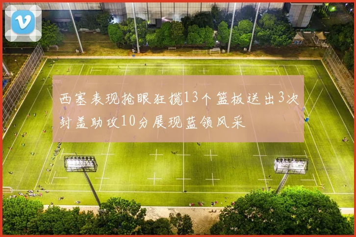 西塞表现抢眼狂揽13个篮板送出3次封盖助攻10分展现蓝领风采