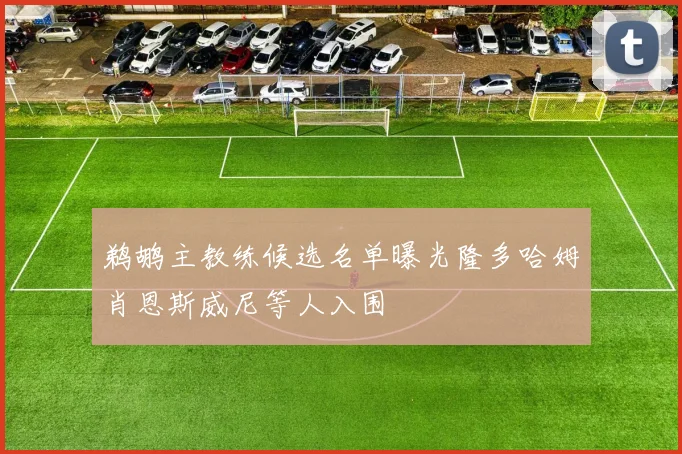鹈鹕主教练候选名单曝光隆多哈姆肖恩斯威尼等人入围