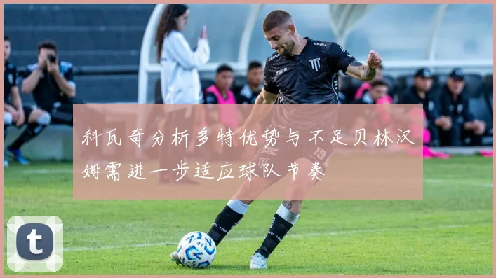 科瓦奇分析多特优势与不足贝林汉姆需进一步适应球队节奏