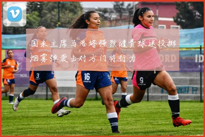 国米主席马洛塔强烈谴责球迷投掷烟雾弹袭击对方门将行为